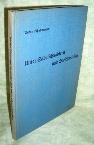 Säbelschnäbler