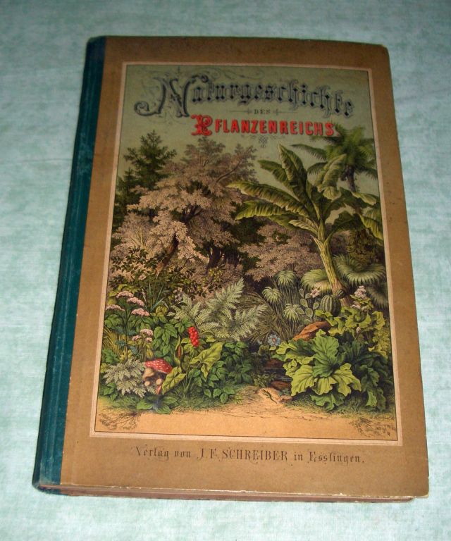 Naurgeschichte Pflanzenreich