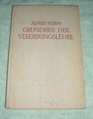 Kühn, Grundriss