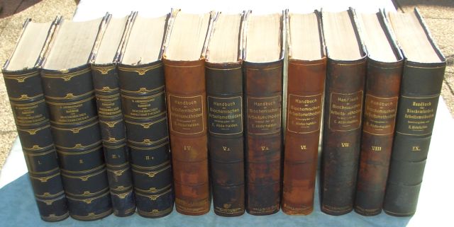 Abderhalden, HB Biochemischen Arbeitsmethoden