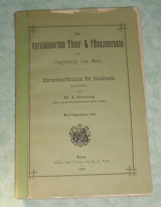 Kissling, Pflanzenreste