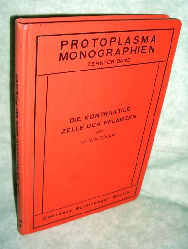 Colla, Kontraktile Zellen