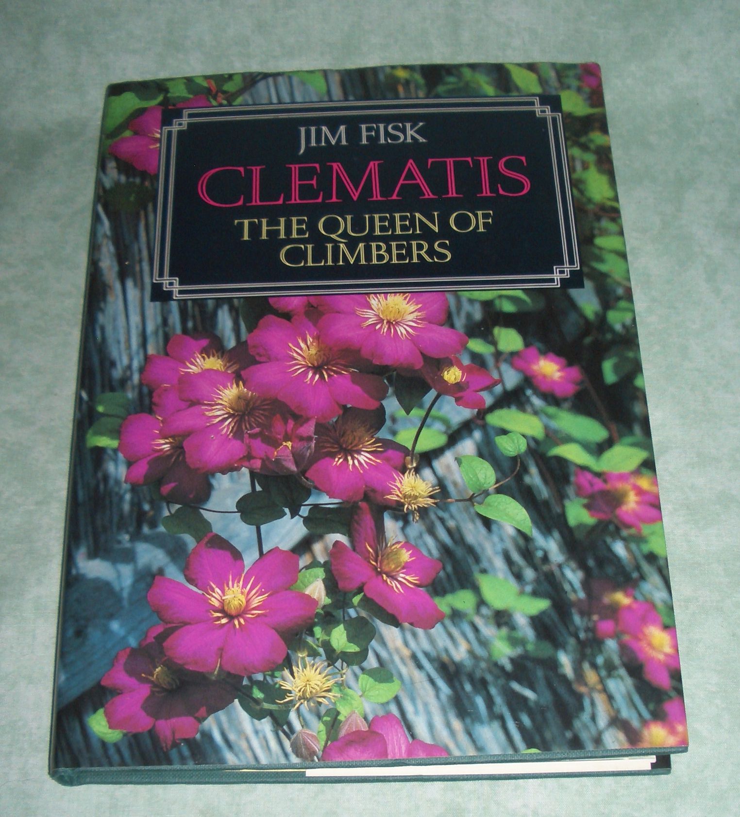 Clematis