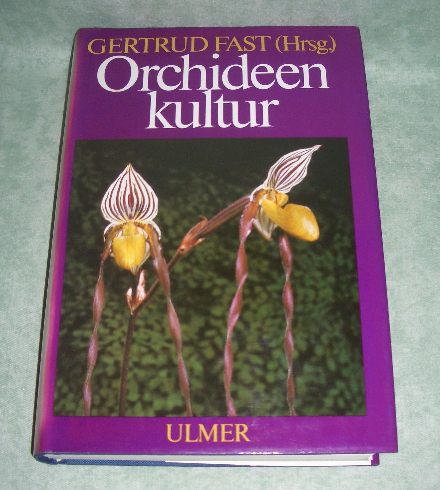 Orchideenkultur