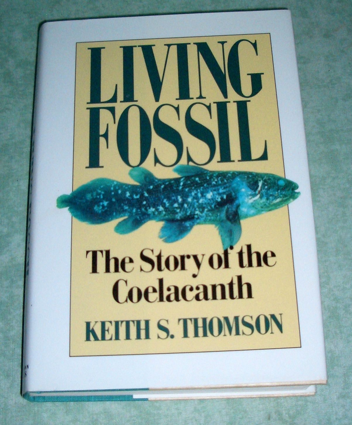 Living Fossil