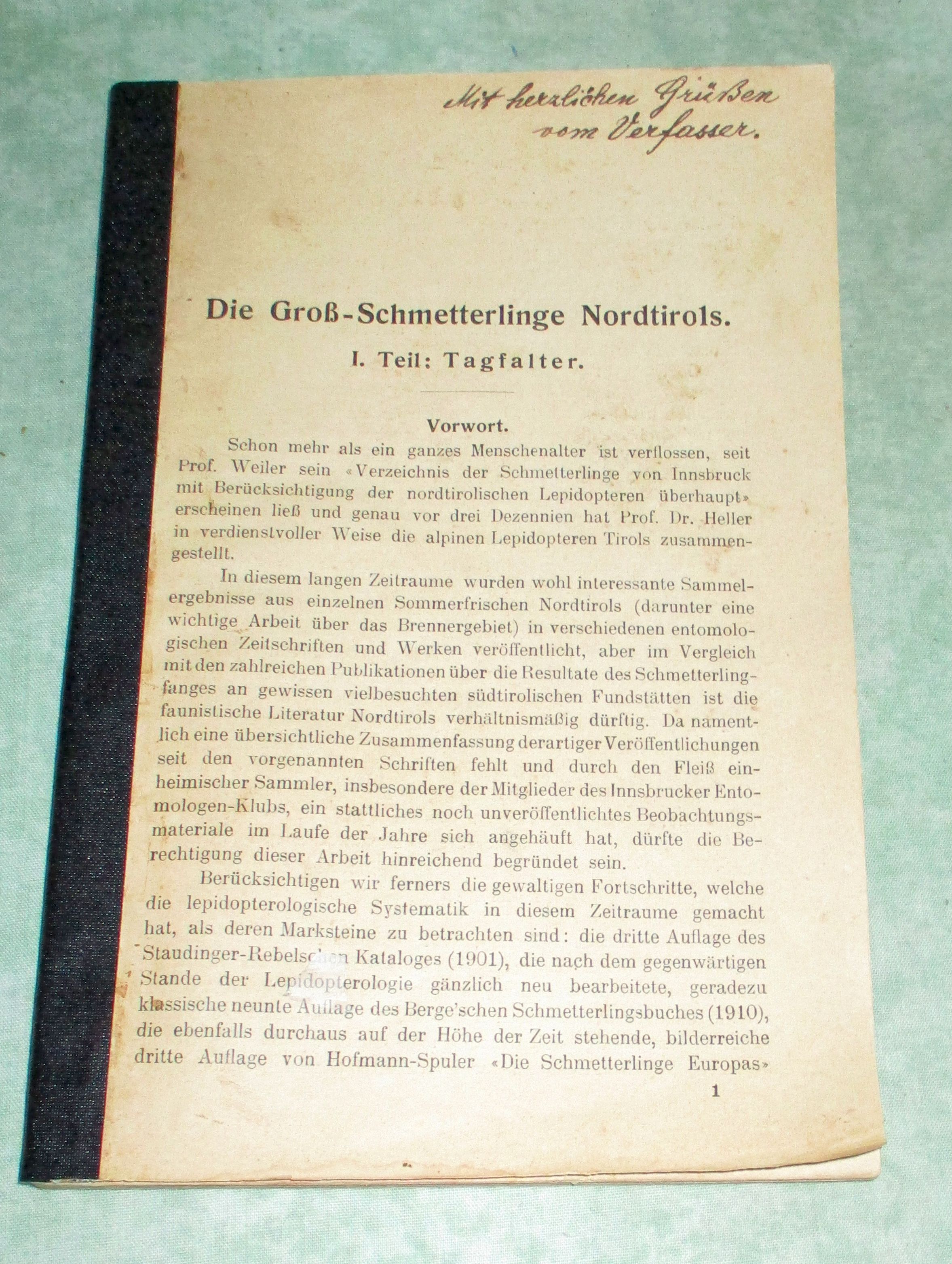 Hellweger, Groß-Schmetterlinge