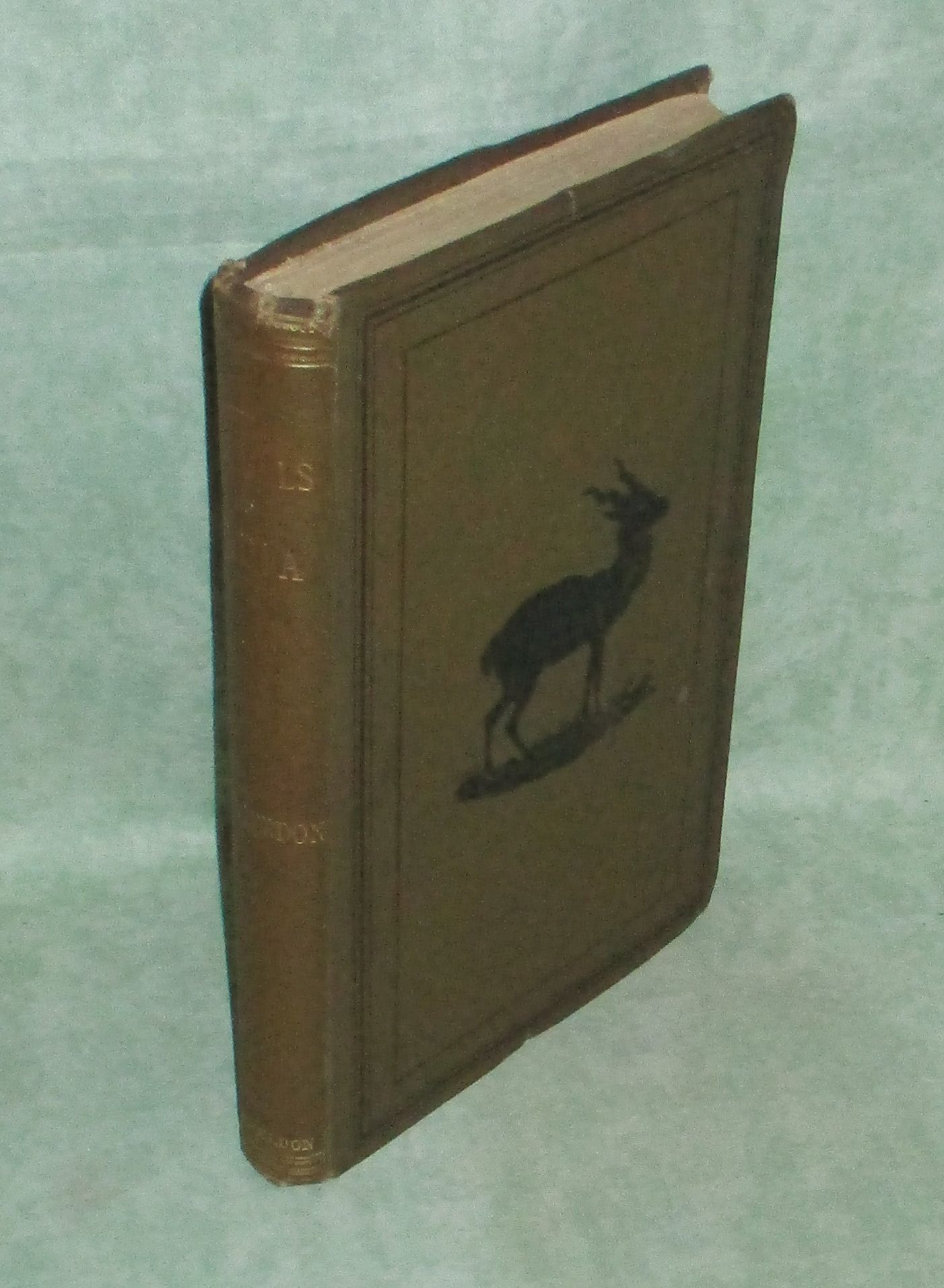 Mammals of India