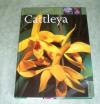 Cattleya