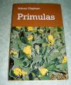 Primulas